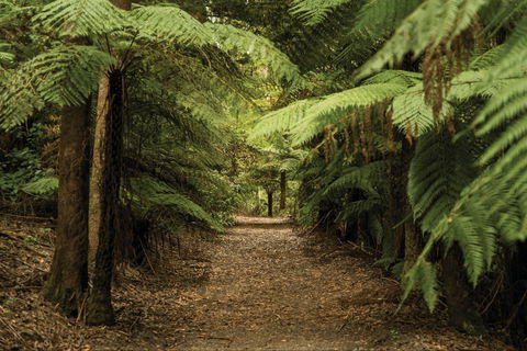 William Ricketts Sanctuary - Whitsundays Accommodation 2