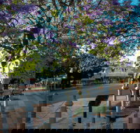 Witcombe Fountain - Whitsundays Accommodation