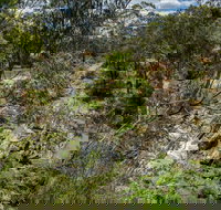 Yarrambat Park - Whitsundays Accommodation