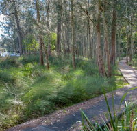 Anabranch Loop Track - Whitsundays Accommodation
