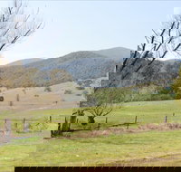 Banimboola Creek Rest Area - Whitsundays Accommodation