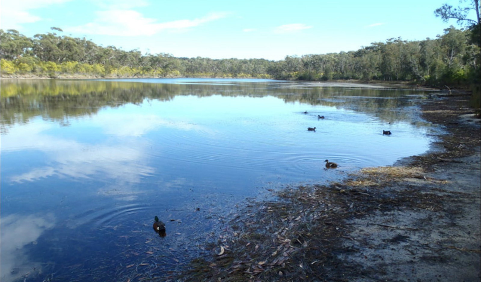 Berrara NSW Whitsundays Accommodation