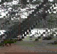 Big Brook Arboretum - Whitsundays Accommodation