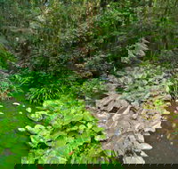 Brindle Creek Picnic Area - Whitsundays Accommodation