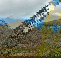 Burrowa-Pine Mountain National Park - Whitsundays Accommodation