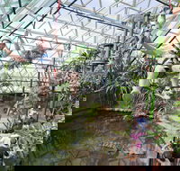 Cairns ZOOM and Wildlife Dome - Whitsundays Accommodation