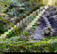 Cascades Walking Track - Whitsundays Accommodation