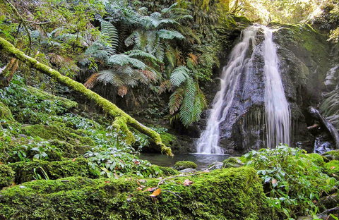 Cascades Walking Track - Whitsundays Accommodation 0