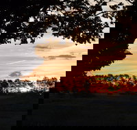 Dangar's Lagoon and Racecourse Lagoon - Whitsundays Accommodation