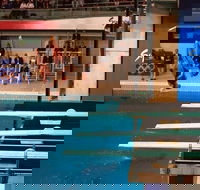 Dive Into History at Sydney Olympic Park Aquatic Centre - Whitsundays Accommodation