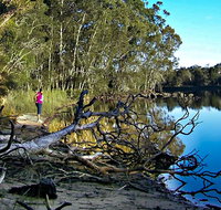Five Islands Walking Track - Whitsundays Accommodation