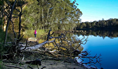 Five Islands Walking Track - Whitsundays Accommodation 0