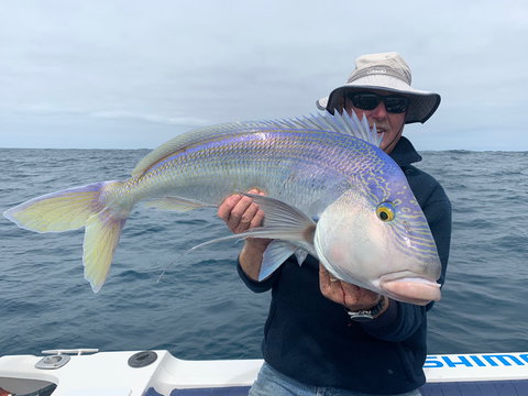 GT Fishing Charters - Whitsundays Accommodation 1