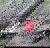 Gunbower Island Forest Drive