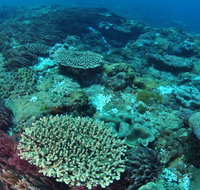 Hanging Rock Dive Site