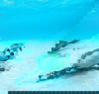 Jurien Bay - Whitsundays Accommodation