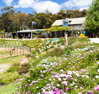 Kate's Berry Farm