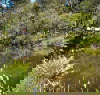 Kurth Kiln Regional Park - Whitsundays Accommodation