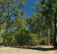 Maidens Tuart Forest - Whitsundays Accommodation