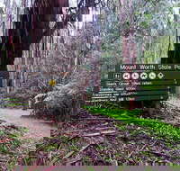 Mount Worth State Park - Whitsundays Accommodation