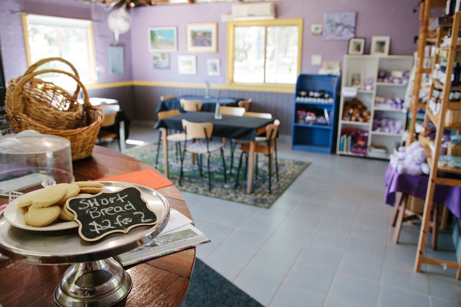Carlotta WA Whitsundays Accommodation