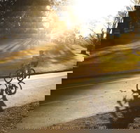 Parramatta River Cycleway - Whitsundays Accommodation