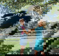 Paradise Country - Whitsundays Accommodation