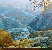 Point Lookout Walking Track - Whitsundays Accommodation