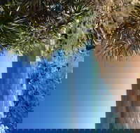 Richmond Valley Cultural Heritage Self Drive Tour - Whitsundays Accommodation