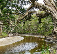 Saltwater National Park - Whitsundays Accommodation