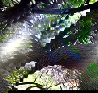 Scarborough Beach Park - Whitsundays Accommodation