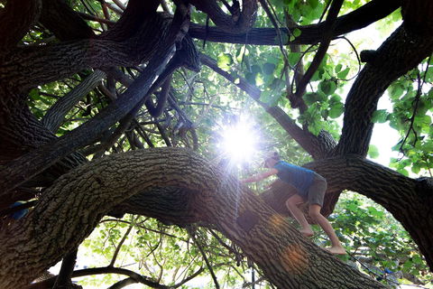 Scarborough Beach Park - Whitsundays Accommodation 0