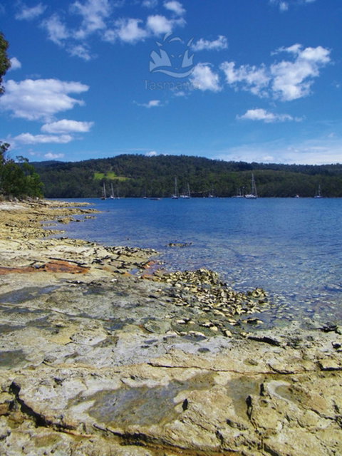 South - Whitsundays Accommodation 0