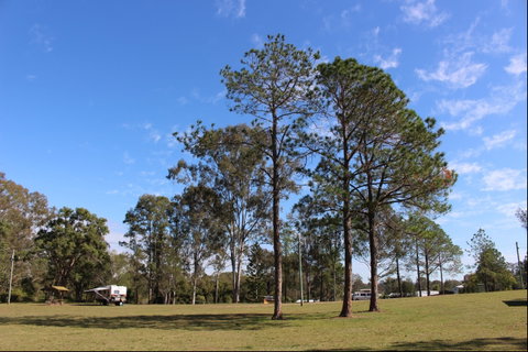 Tully Memorial Park - Whitsundays Accommodation 2
