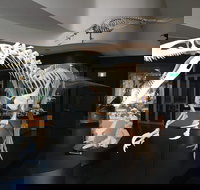 UNE Natural History Museum - Whitsundays Accommodation