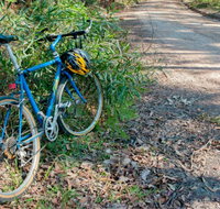 Walter Hood ride from Cudmirrah - Whitsundays Accommodation