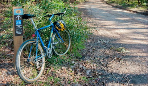 Walter Hood Ride From Cudmirrah - Whitsundays Accommodation 0