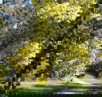 Wattle Park - Whitsundays Accommodation