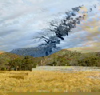 Weddin Mountains National Park - Whitsundays Accommodation