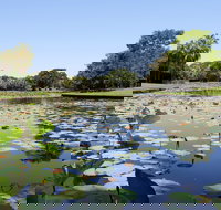 Anderson Park Botanic Gardens - Whitsundays Accommodation