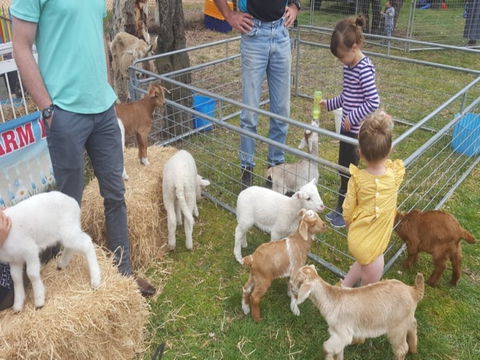 Animal Farm Visit - Whitsundays Accommodation 2