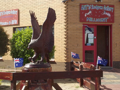 Ant's Redgum Gallery - Whitsundays Accommodation 0