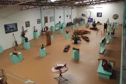 Ant's Redgum Gallery - Whitsundays Accommodation 1