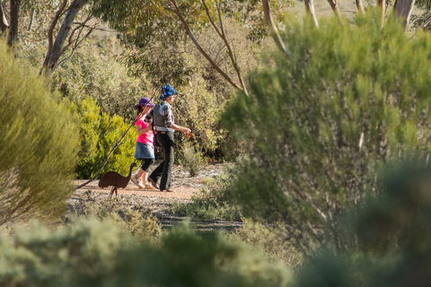 Australian Arid Lands Botanic Garden - Whitsundays Accommodation 0