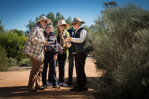 Australian Arid Lands Botanic Garden - Whitsundays Accommodation 2