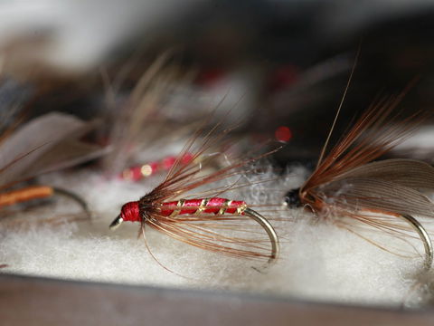 Australian Fly Fishing Museum - Whitsundays Accommodation 0