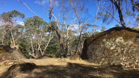 Bailey's Rocks - Dergholm State Park - Whitsundays Accommodation 0