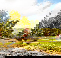 Bright - Whitsundays Accommodation