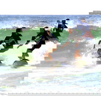 Broadbeach Surf School - Whitsundays Accommodation