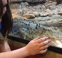 Canberra Reptile Zoo - Whitsundays Accommodation